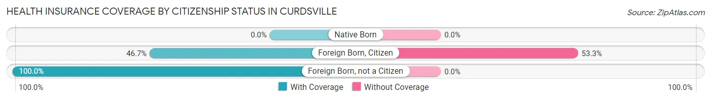 Health Insurance Coverage by Citizenship Status in Curdsville