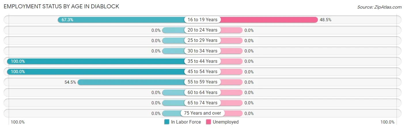 Employment Status by Age in Diablock