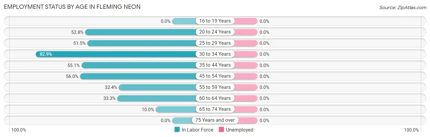 Employment Status by Age in Fleming Neon