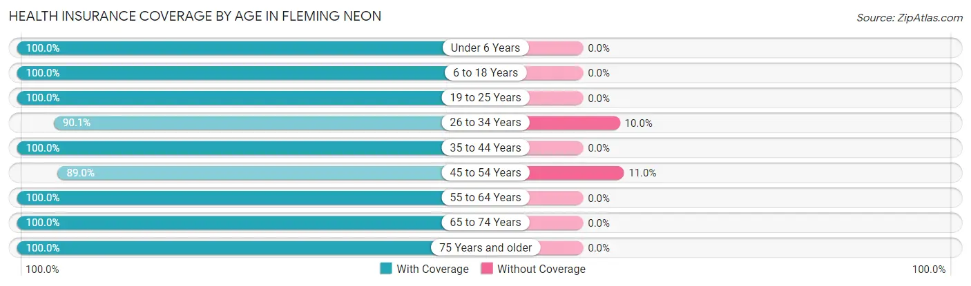 Health Insurance Coverage by Age in Fleming Neon