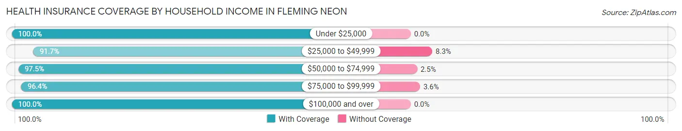 Health Insurance Coverage by Household Income in Fleming Neon