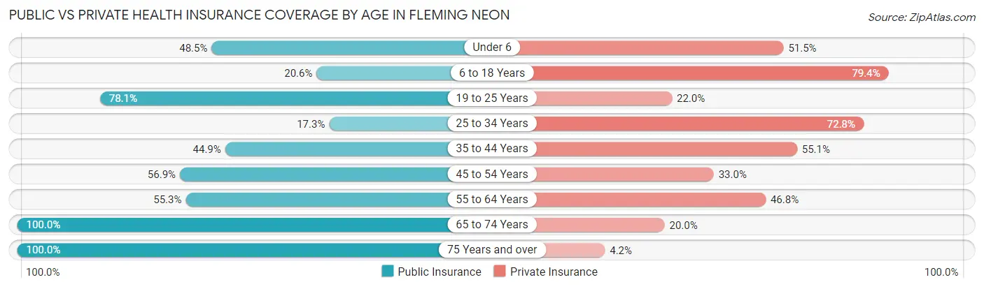 Public vs Private Health Insurance Coverage by Age in Fleming Neon