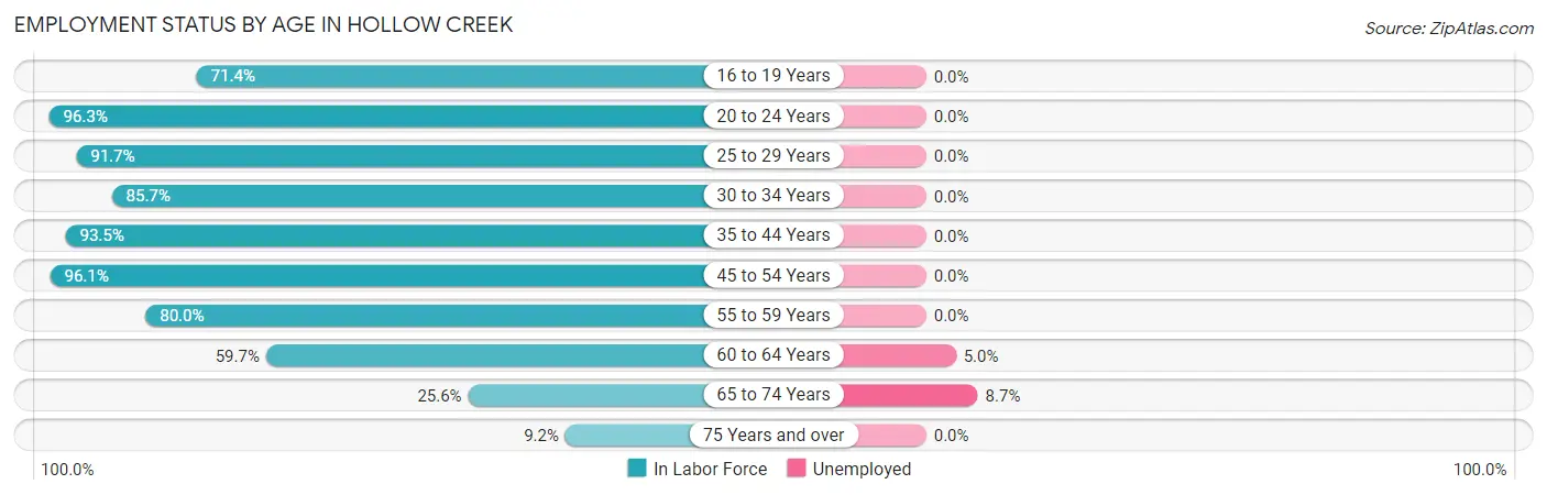 Employment Status by Age in Hollow Creek