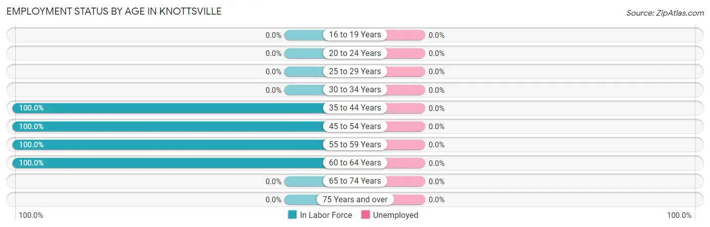 Employment Status by Age in Knottsville