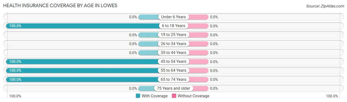 Health Insurance Coverage by Age in Lowes