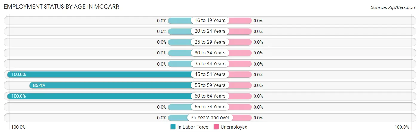 Employment Status by Age in McCarr