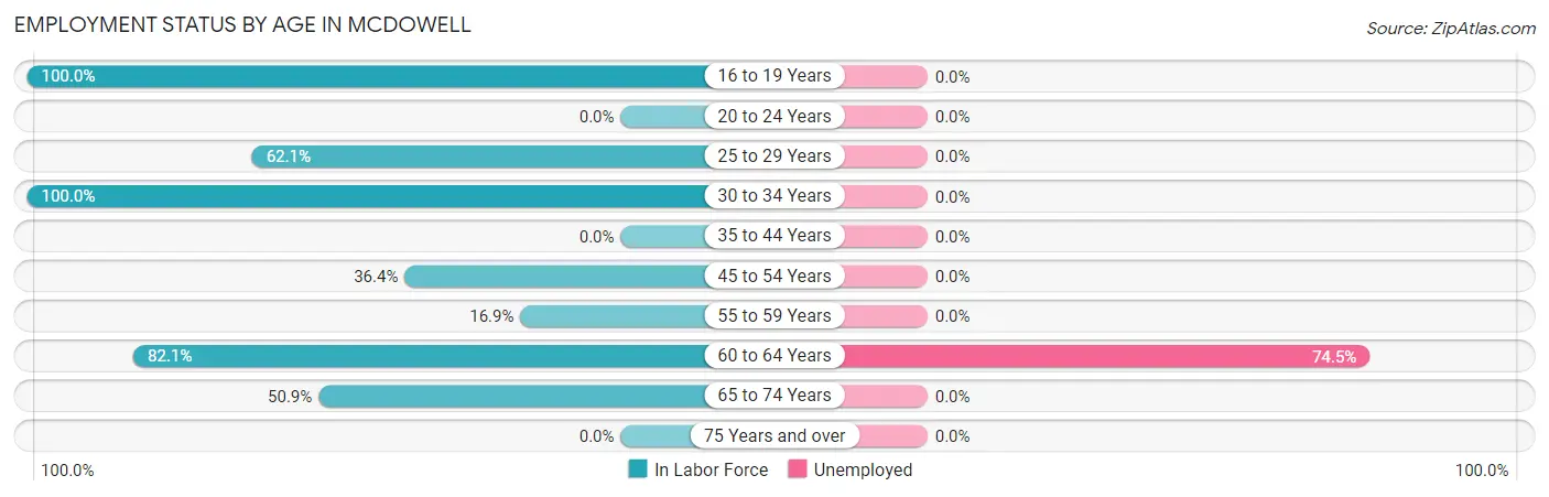 Employment Status by Age in McDowell