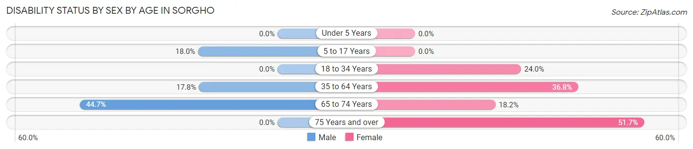 Disability Status by Sex by Age in Sorgho