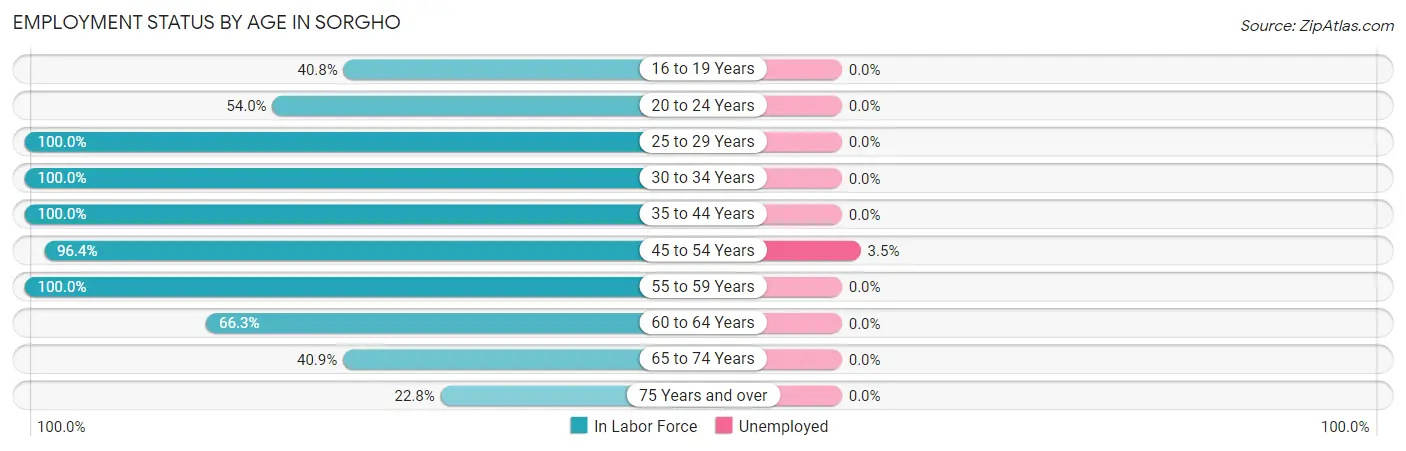 Employment Status by Age in Sorgho