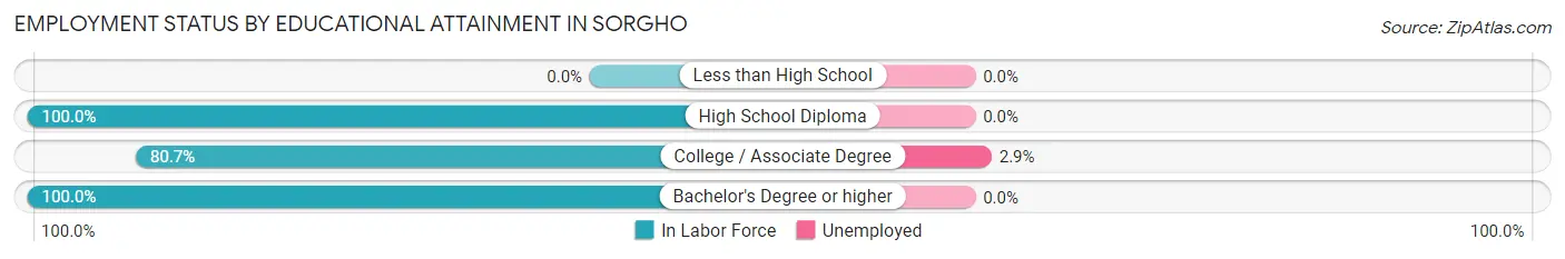 Employment Status by Educational Attainment in Sorgho