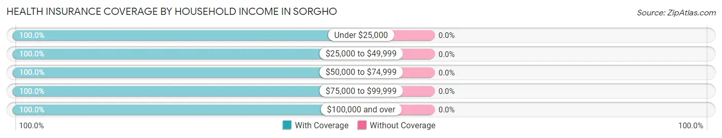 Health Insurance Coverage by Household Income in Sorgho