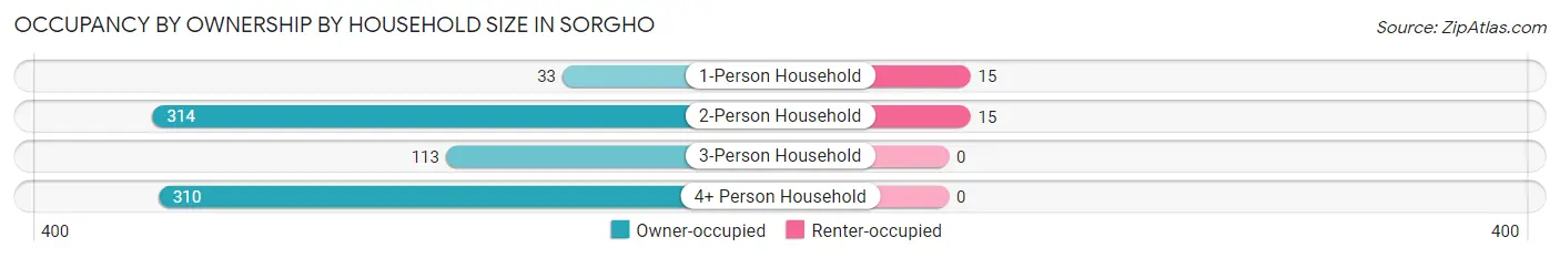 Occupancy by Ownership by Household Size in Sorgho