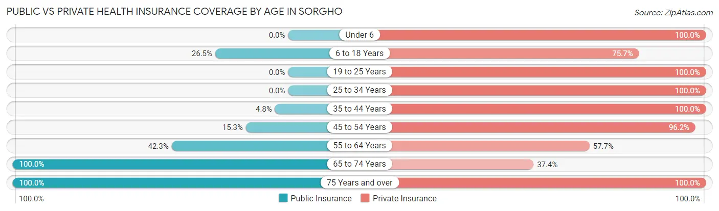 Public vs Private Health Insurance Coverage by Age in Sorgho