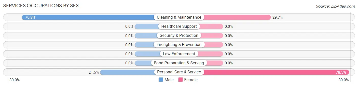 Services Occupations by Sex in Sorgho