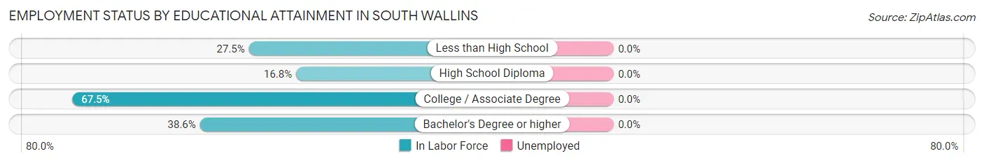 Employment Status by Educational Attainment in South Wallins