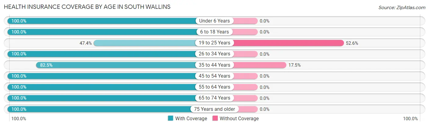 Health Insurance Coverage by Age in South Wallins