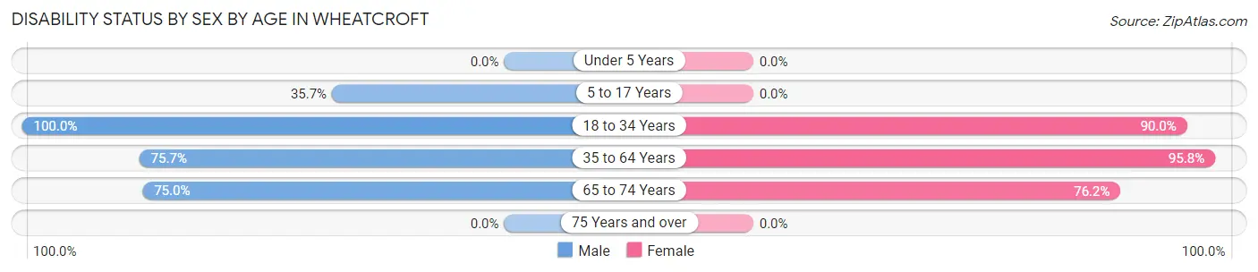 Disability Status by Sex by Age in Wheatcroft