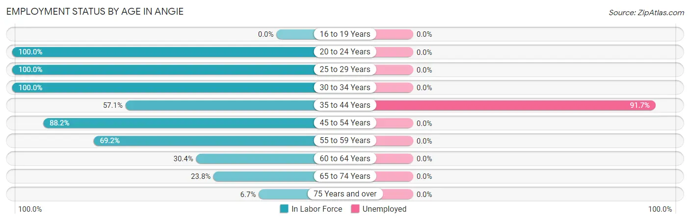 Employment Status by Age in Angie