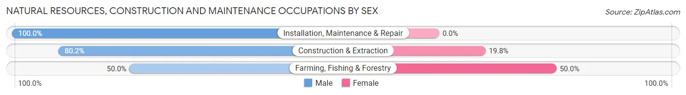Natural Resources, Construction and Maintenance Occupations by Sex in Ball