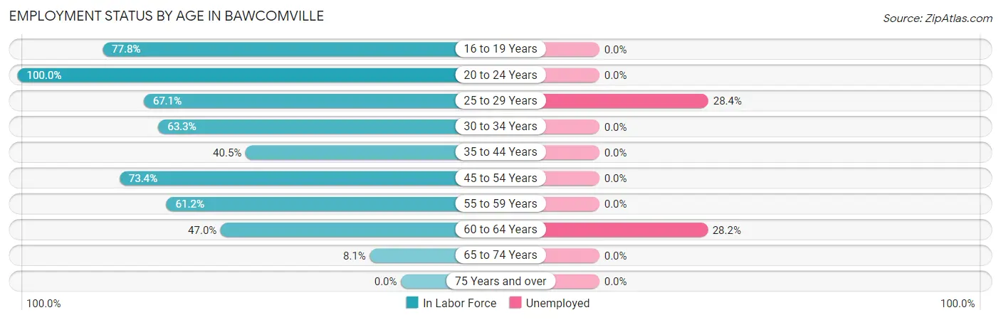 Employment Status by Age in Bawcomville
