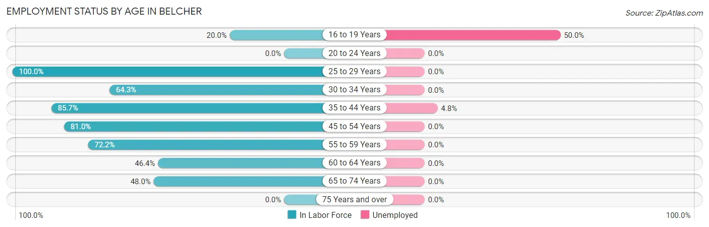 Employment Status by Age in Belcher