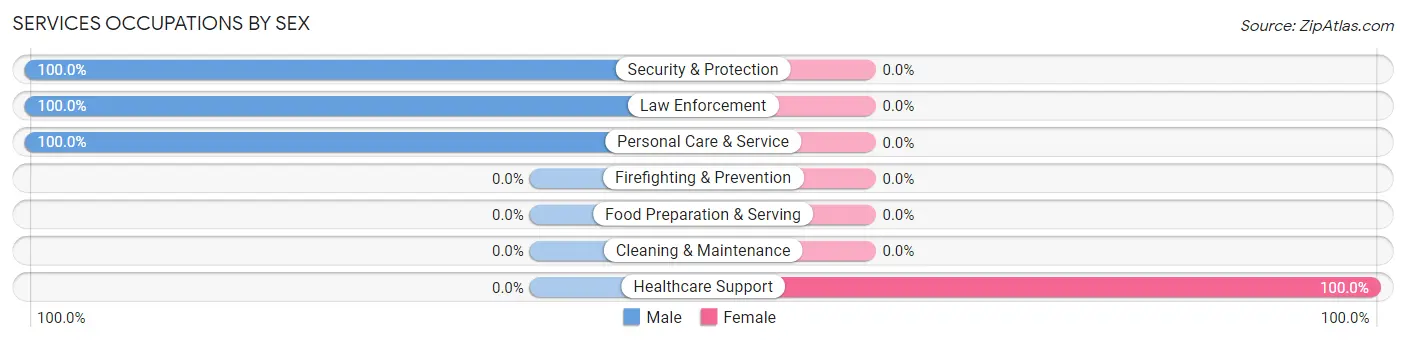 Services Occupations by Sex in Belcher