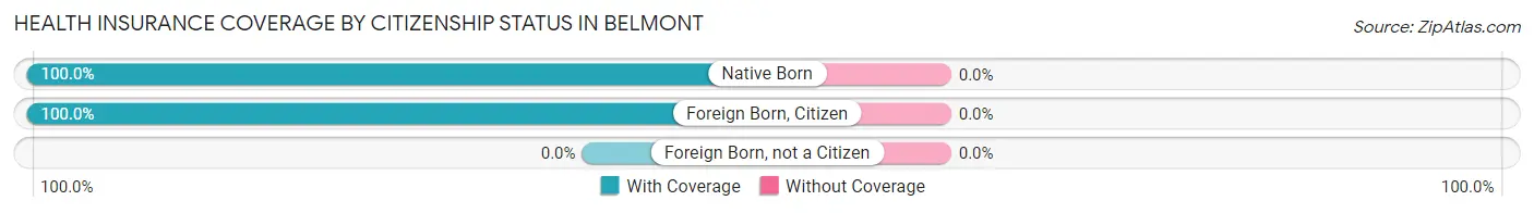 Health Insurance Coverage by Citizenship Status in Belmont