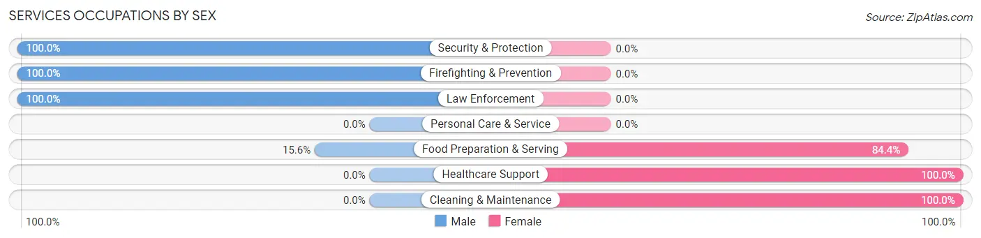 Services Occupations by Sex in Brownsville