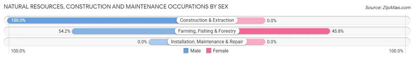 Natural Resources, Construction and Maintenance Occupations by Sex in Bryceland