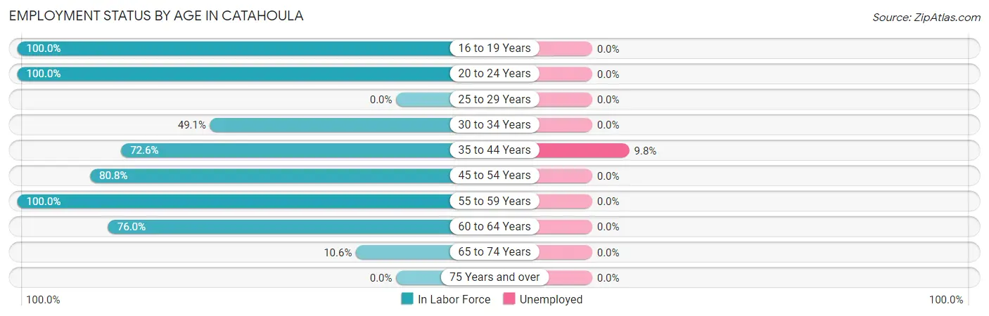 Employment Status by Age in Catahoula
