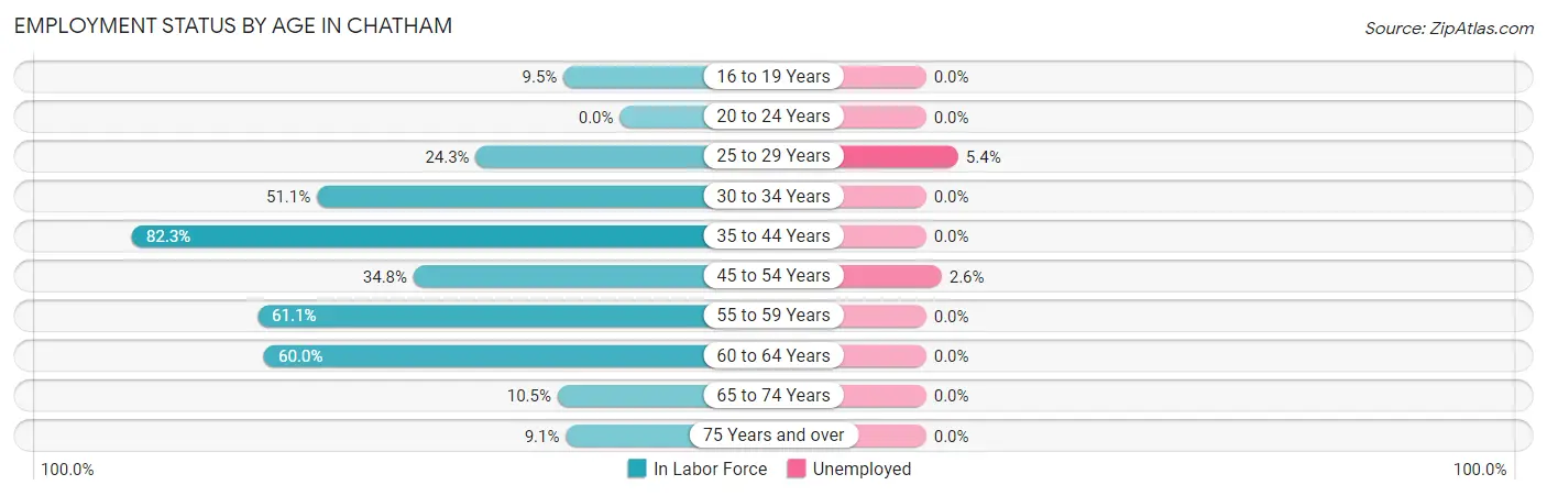 Employment Status by Age in Chatham