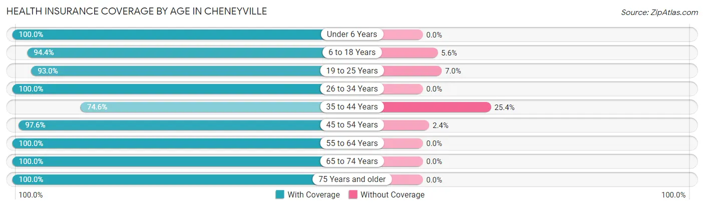 Health Insurance Coverage by Age in Cheneyville