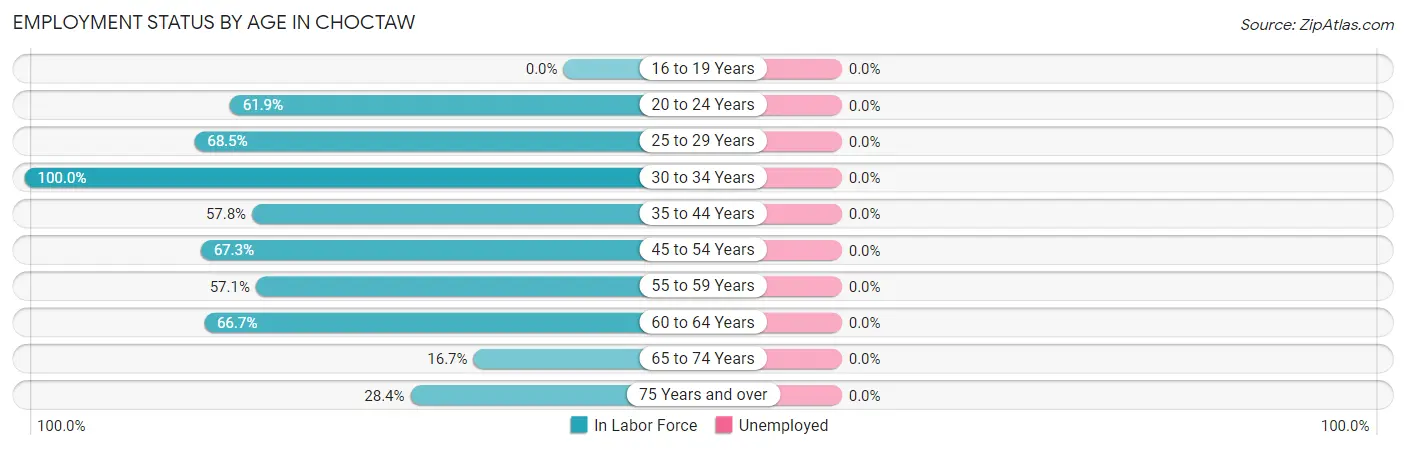 Employment Status by Age in Choctaw