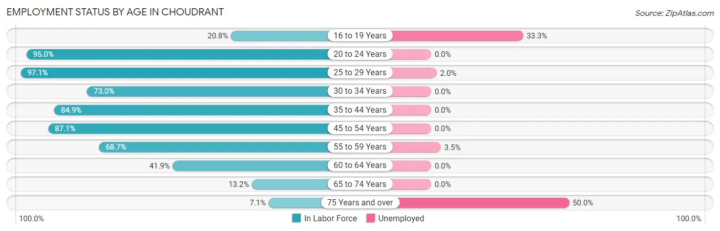Employment Status by Age in Choudrant