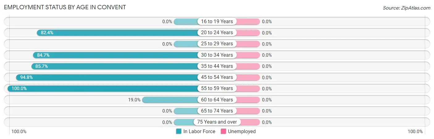 Employment Status by Age in Convent