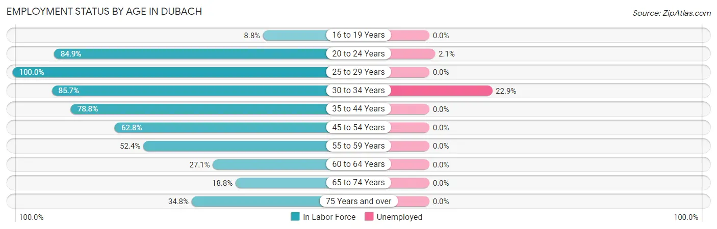 Employment Status by Age in Dubach