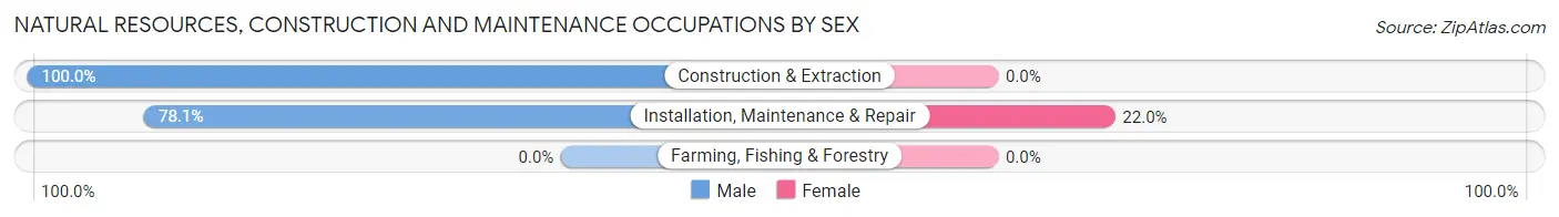 Natural Resources, Construction and Maintenance Occupations by Sex in Fifth Ward