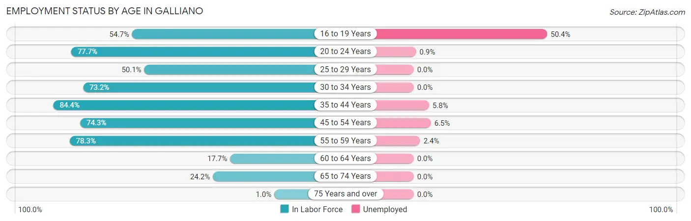 Employment Status by Age in Galliano