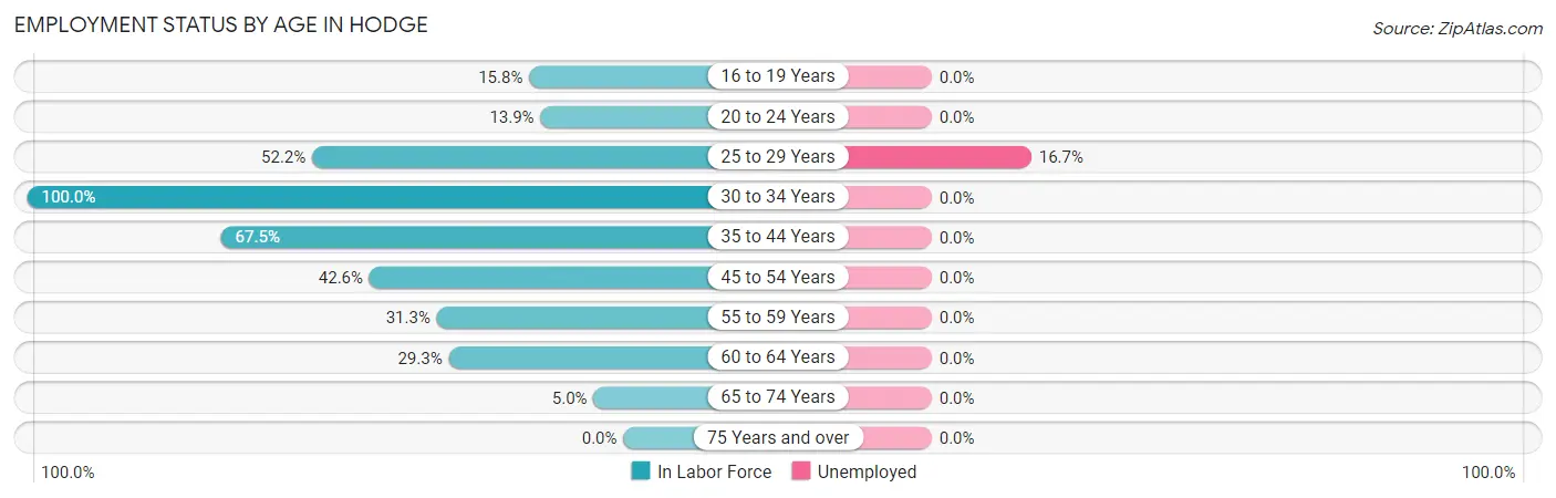 Employment Status by Age in Hodge