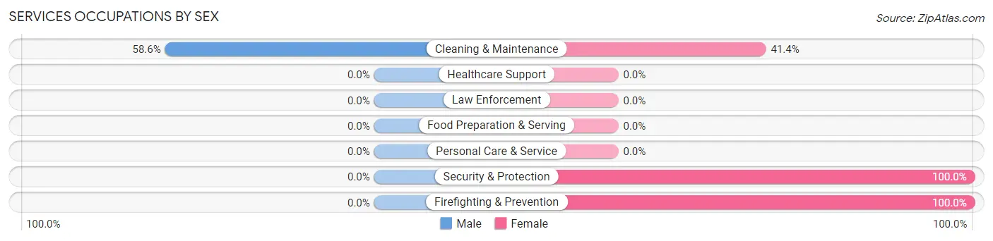 Services Occupations by Sex in Hodge