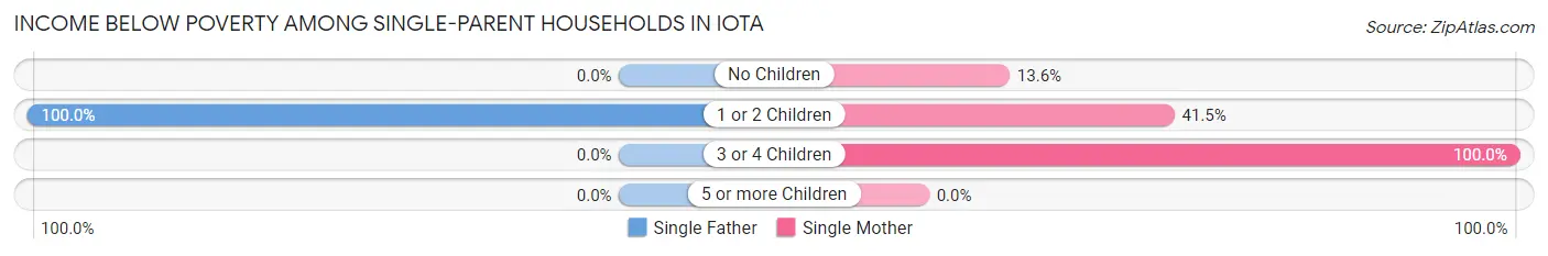 Income Below Poverty Among Single-Parent Households in Iota
