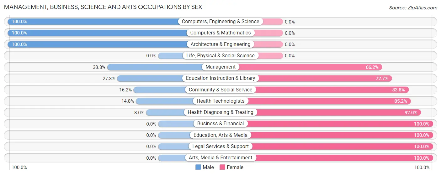 Management, Business, Science and Arts Occupations by Sex in Iota