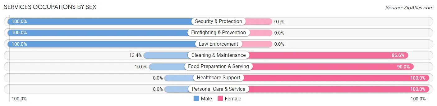 Services Occupations by Sex in Iota