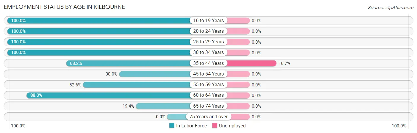 Employment Status by Age in Kilbourne