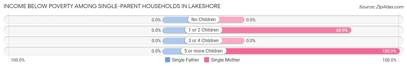 Income Below Poverty Among Single-Parent Households in Lakeshore