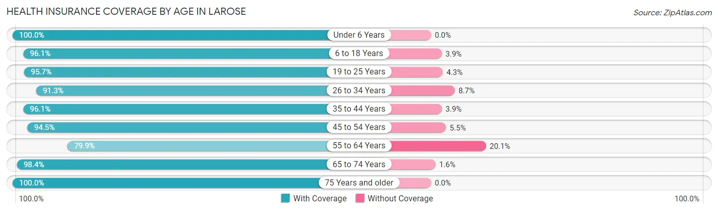 Health Insurance Coverage by Age in Larose