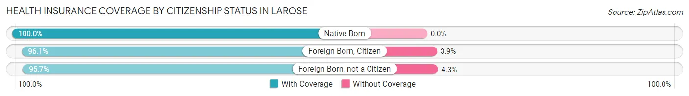 Health Insurance Coverage by Citizenship Status in Larose