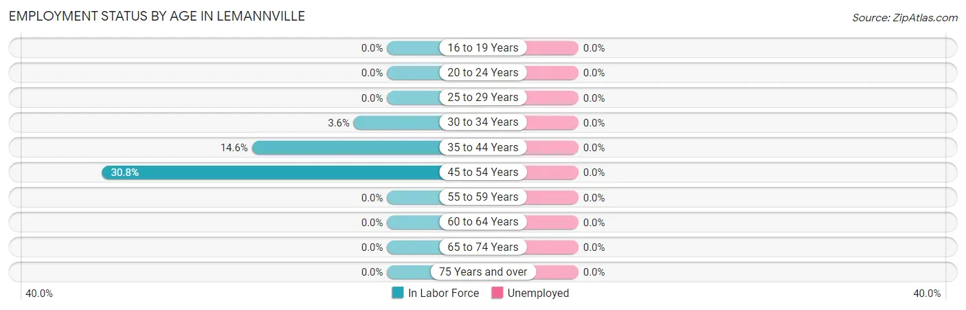 Employment Status by Age in Lemannville
