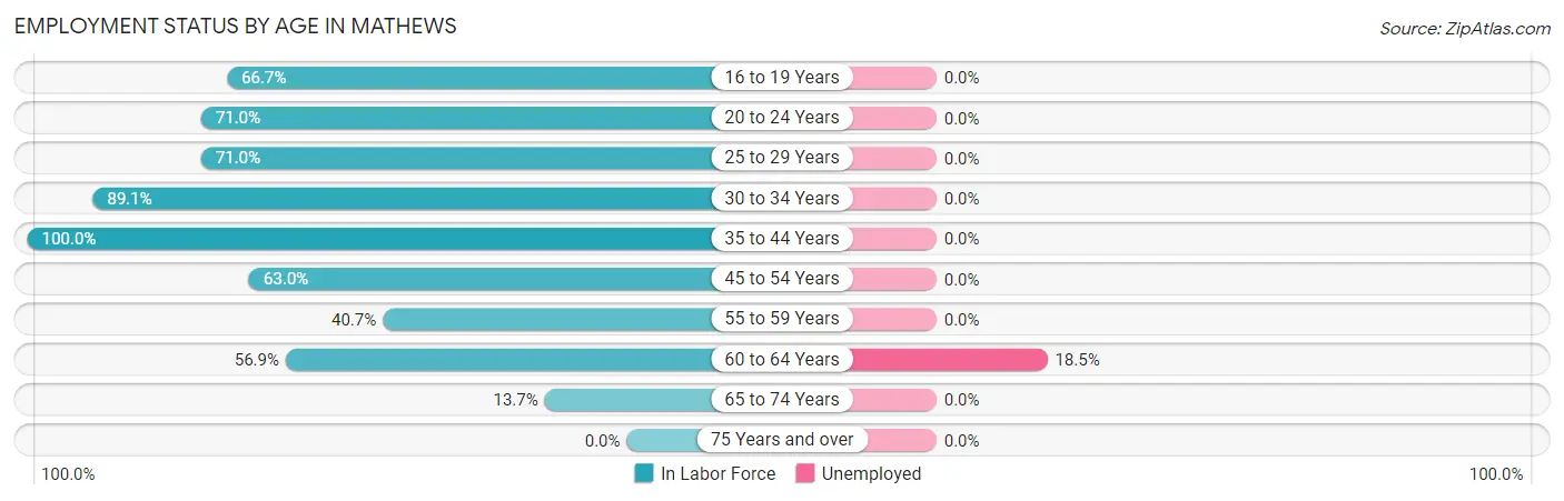 Employment Status by Age in Mathews