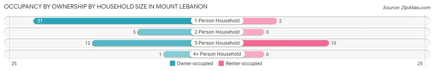 Occupancy by Ownership by Household Size in Mount Lebanon
